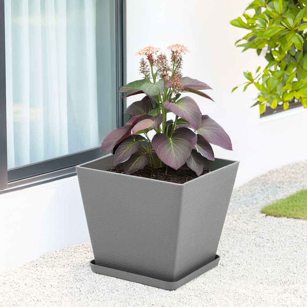 POT CARRÉ LILIUM