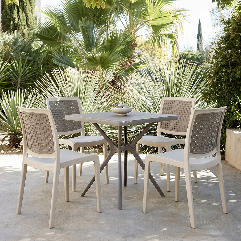 CHAISES SANDRA